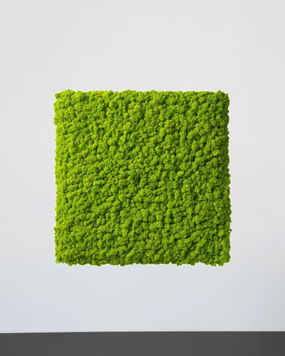 Kvadratisk renlavspanel från Forever Flora – Grön, 30×30 cm