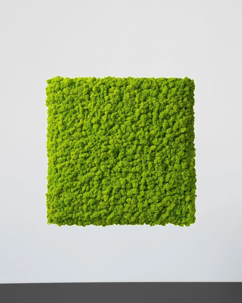 Quadratisches Islandmoos-Paneel von Forever Flora – Grün, 30 × 30 cm