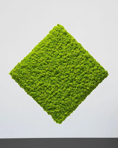Farbvariante Gelb des quadratischen Moospaneels aus echtem Islandmoos – 30 × 30 cm