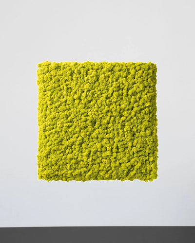 Mosspanel kvadrat i äkta renlav för modulär väggdekor – Lila, 30×30 cm