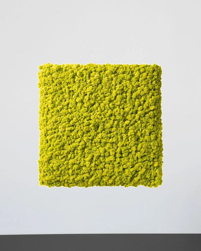 Quadratisches Moospaneel aus echtem Islandmoos für modulare Wanddekoration – Lila, 30 × 30 cm
