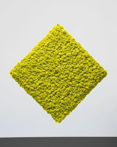 Oberfläche und Struktur des quadratischen Moospaneels – Hellgrün, 30 × 30 cm