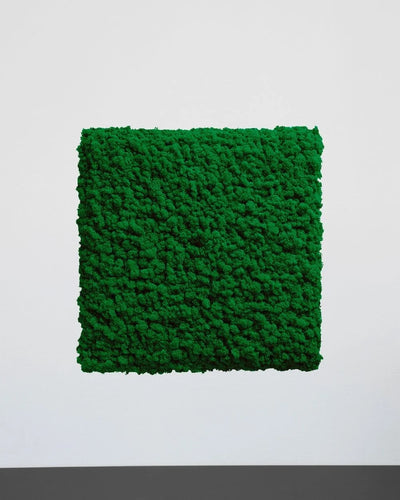 Mosspanel kvadrat i äkta renlav som dekorativ panel i inomhusmiljö – Naturell, 30×30 cm