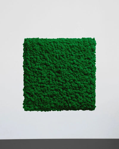 Quadratisches Moospaneel aus echtem Islandmoos als dekoratives Paneel im Innenraum – Natur, 30 × 30 cm