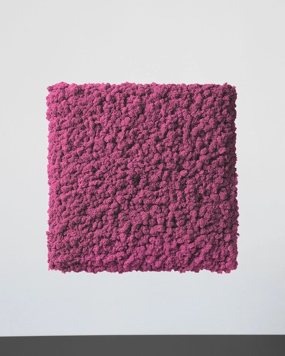 Quadratisches Moospaneel aus echtem Islandmoos als dekoratives Paneel im Innenraum – Natur, 50 × 50 cm