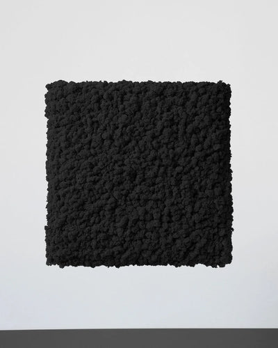 Mosspanel kvadrat i äkta renlav för grön väggdesign – Svart, 50×50 cm