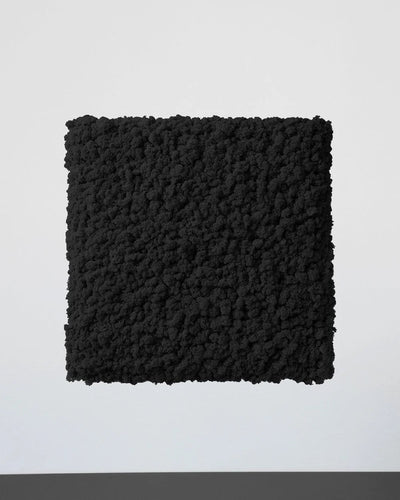 Quadratisches Moospaneel aus echtem Islandmoos für grünes Wanddesign – Schwarz, 50 × 50 cm