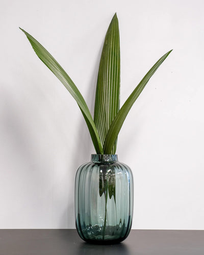 Palmgräs Grön 3 st. – konserverad växt från Forever Flora