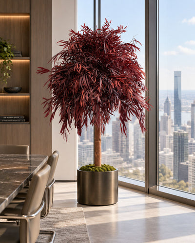 Preserved Eucalyptus Tree Nicoli – Crown