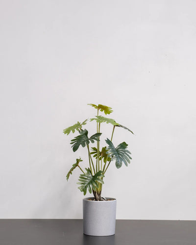 Konstgjord Filodendron krukväxt med melaminkruka – 52 cm – konstgjord växt från Forever Flora