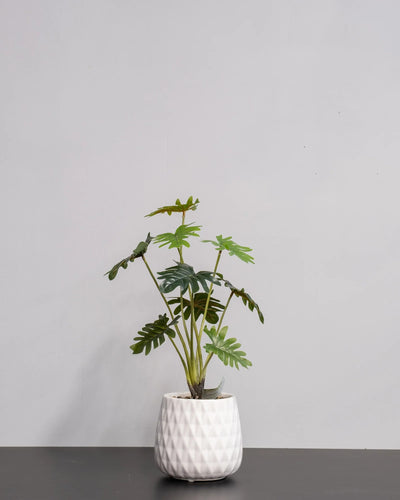 Konstgjord Filodendron krukväxt med keramikkruka – 53 cm – konstgjord växt från Forever Flora