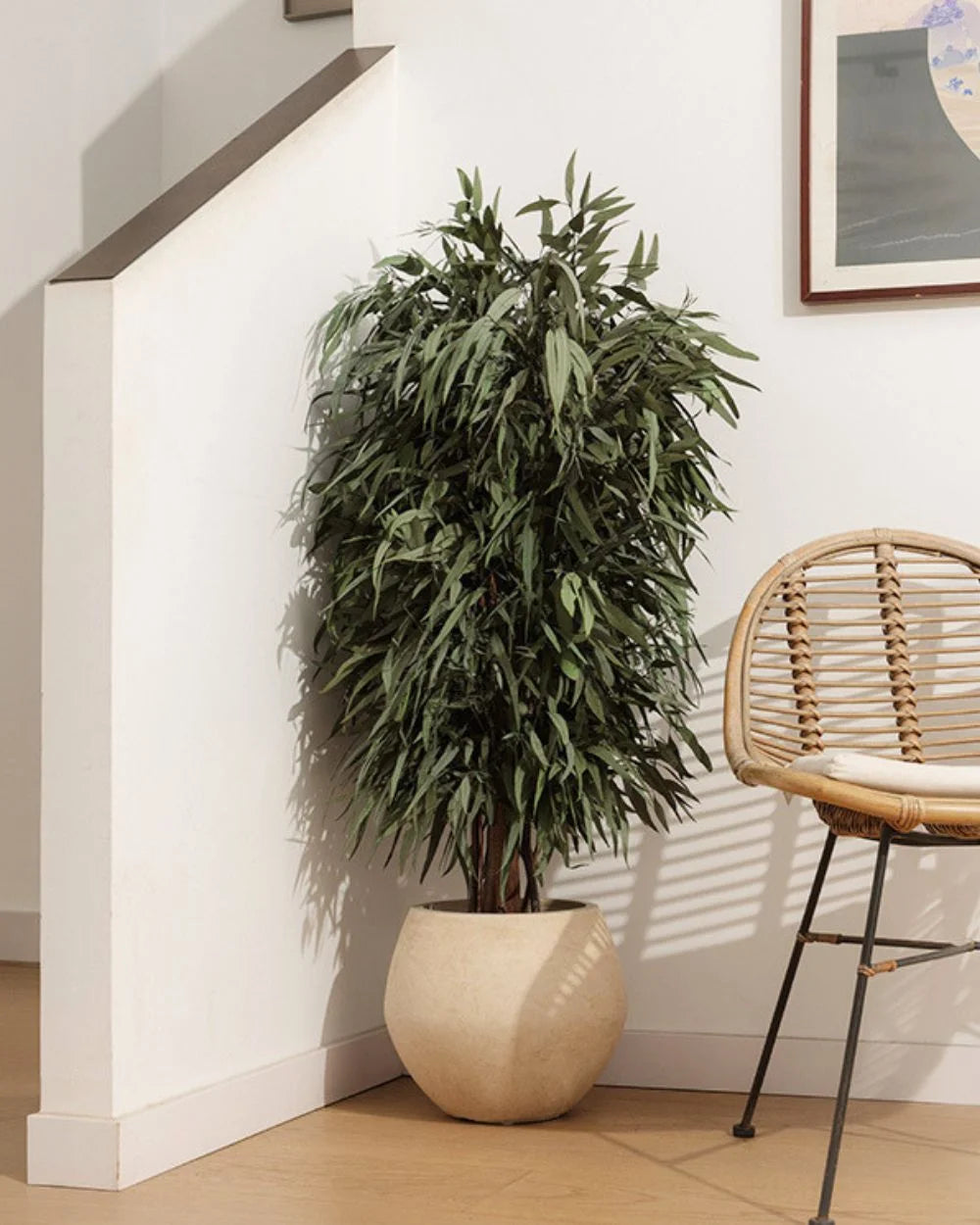 Konserverat pilträd Willow – Buskträd för styling av entré, kontor eller butik