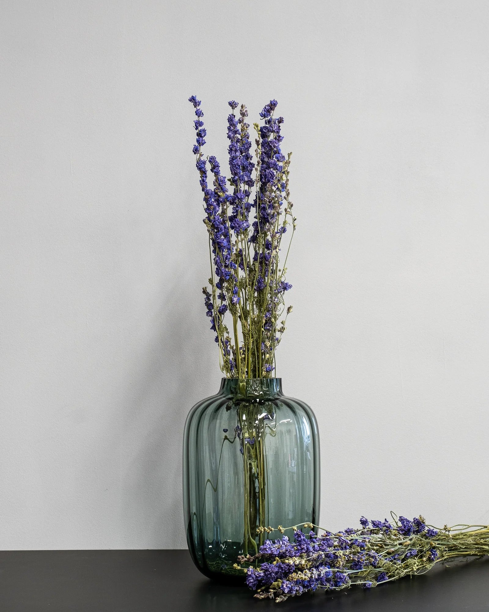 Torkade Delphinium – Riddarsporre för buketter och blomsterarrangemang