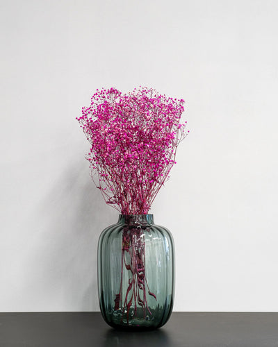 Detaljbild av Slöjblommor – Gypsophila som konserverad blomma