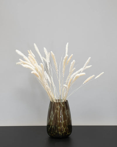 Setaria – torkade blommor 40–60 cm