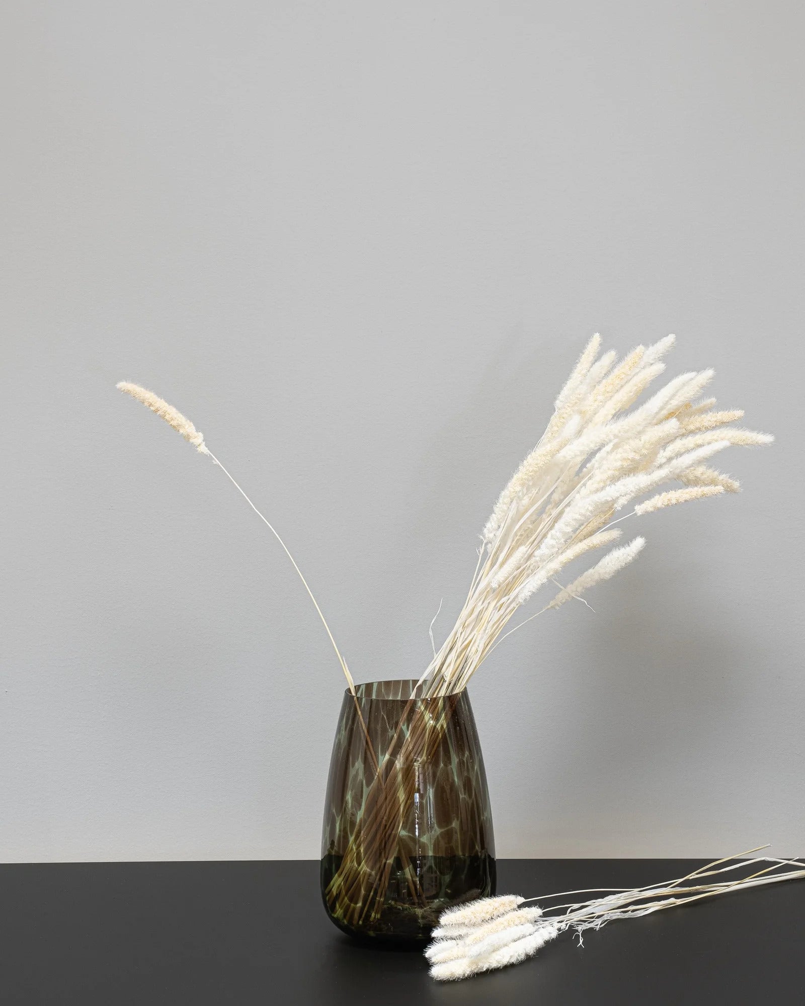 Setaria – torkade blommor 40–60 cm i Vit