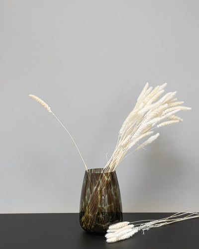 Setaria – torkade blommor 40–60 cm i Vit
