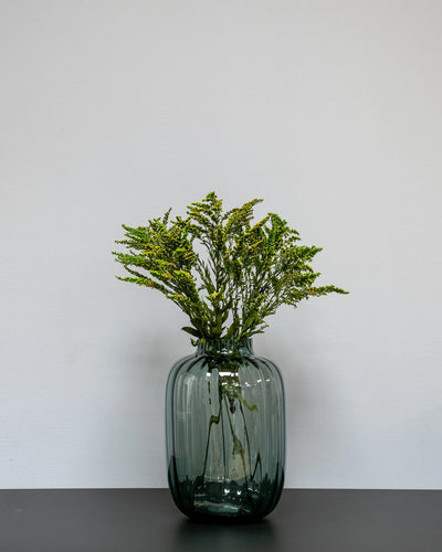Solidago Grön som dekorativ produkt från Forever Flora