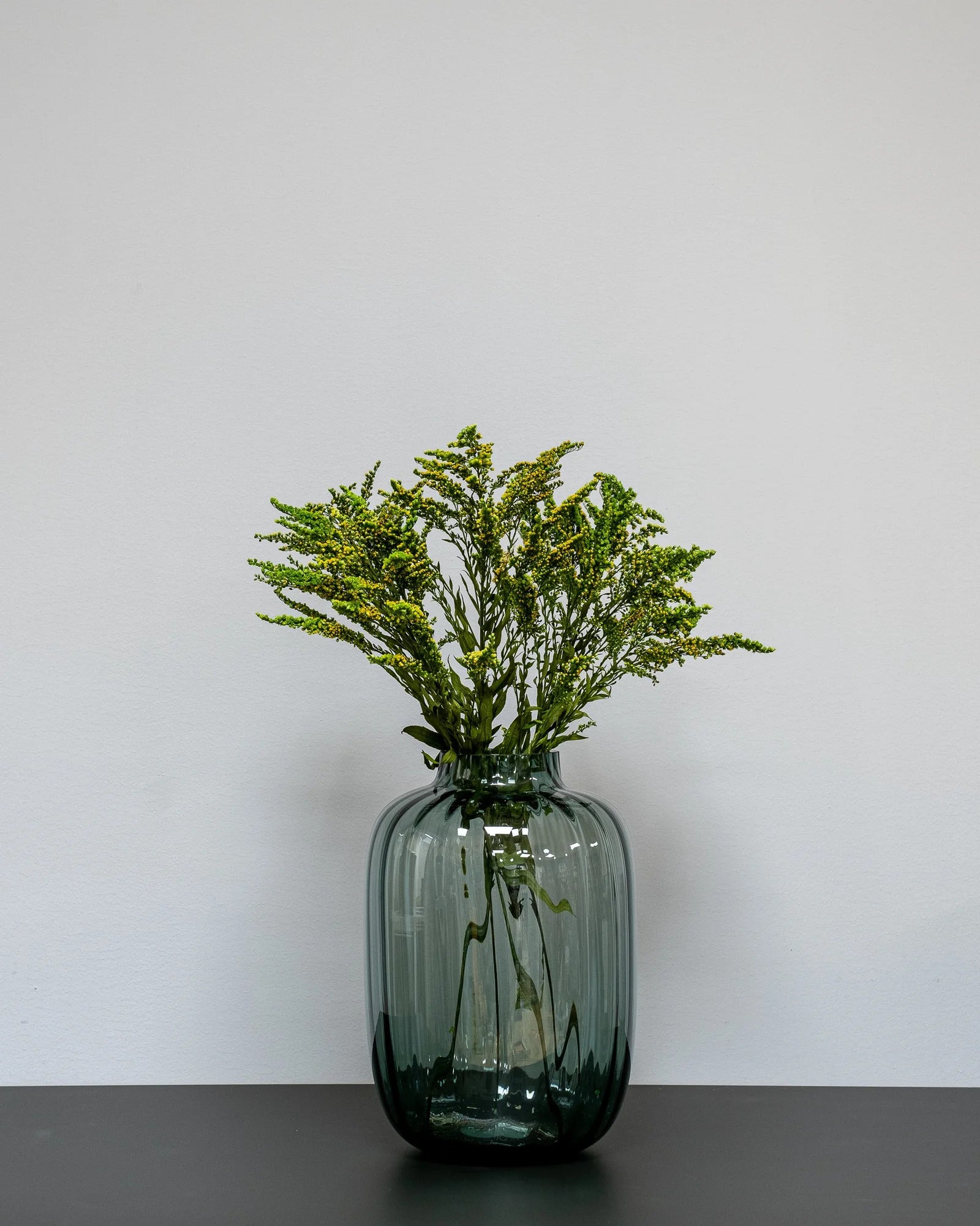 Solidago Grön – konserverad blomma från Forever Flora