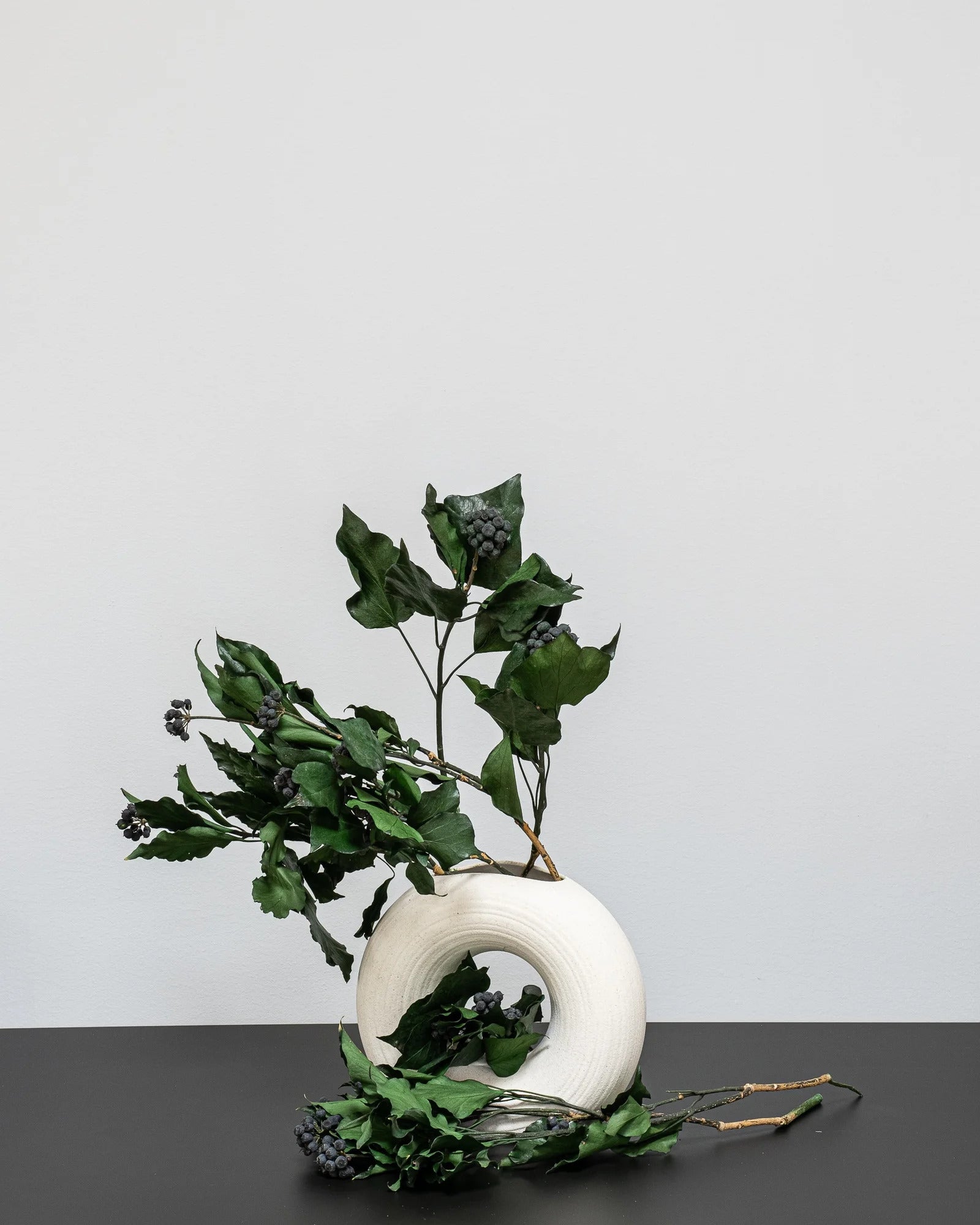 Murreva Ivy som dekorativ produkt från Forever Flora