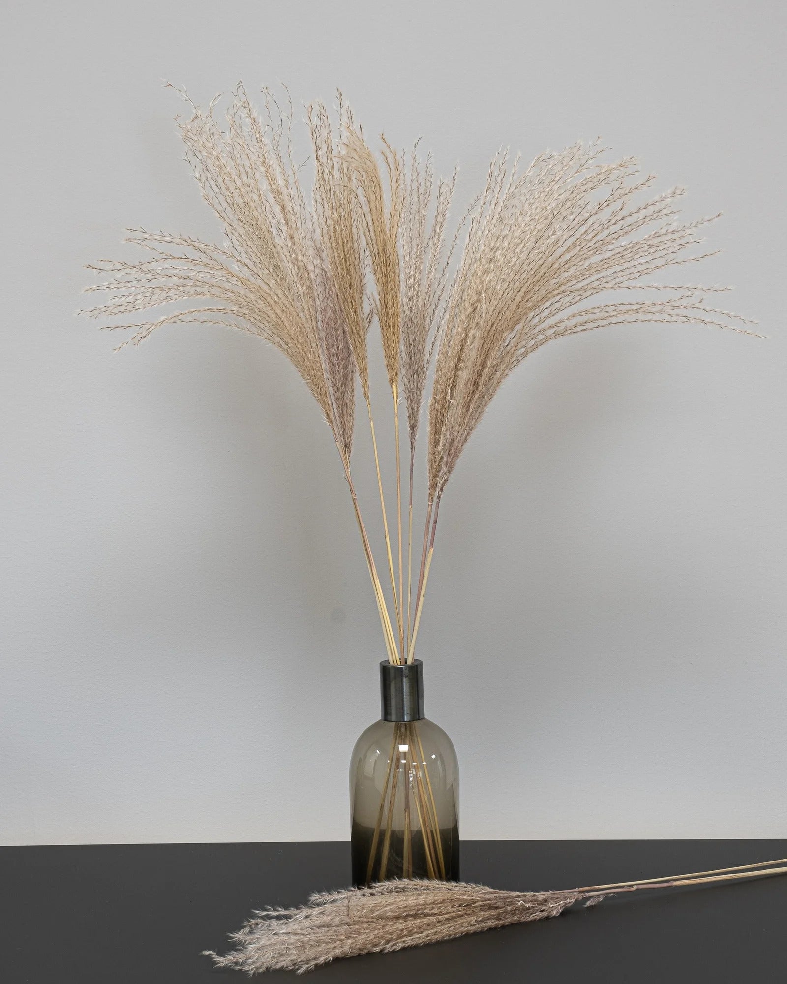 Närbild på torkade blommor i Miscanthus Naturell