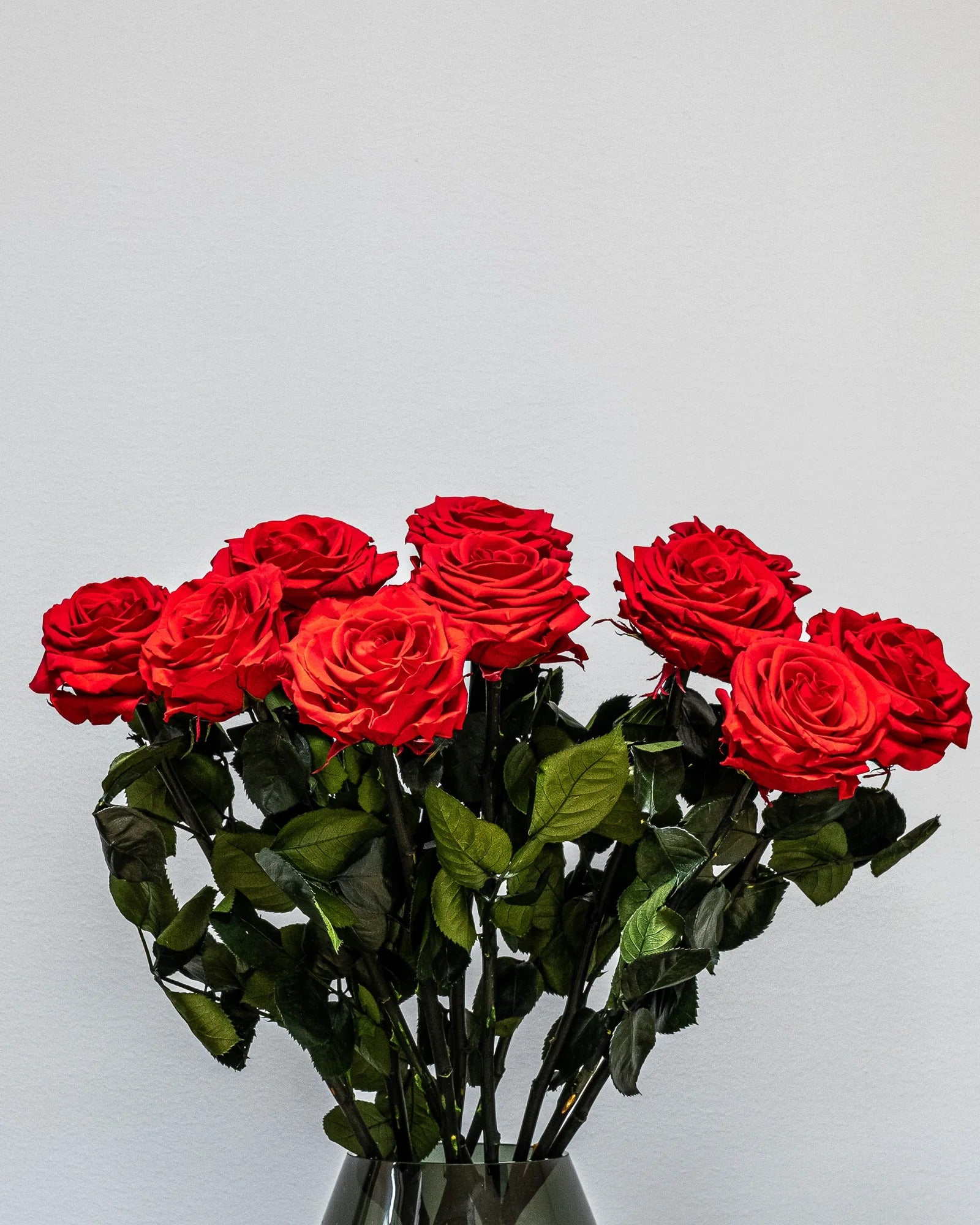 Evighetsros Bukett Röd 60 cm som konserverad blomsterdekoration i 30 st.