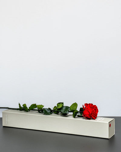 Detaljbild av Singel Giftbox - V Rose