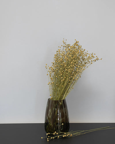 Närbild på torkade blommor i Lin Naturell
