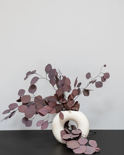 Närbild på detaljerna i Eucalyptus Populus