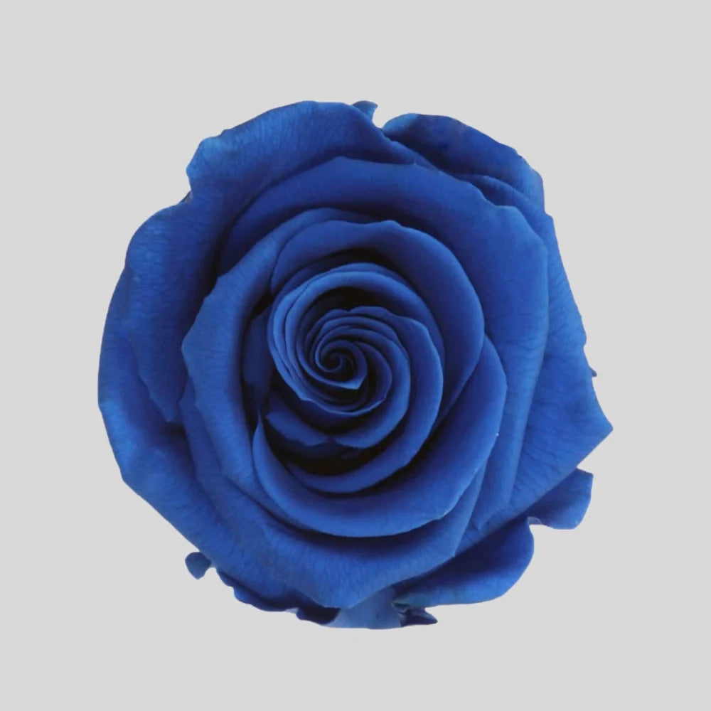 Detaljbild av Evighetsros Box i Trä - Stor Rosbox i rosa