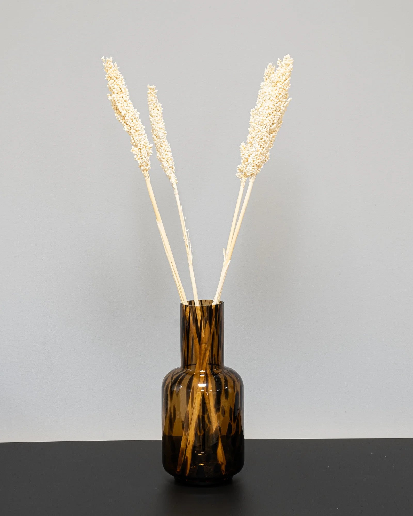 Indian Corn 5 st. – torkade blommor, ca 70 cm
