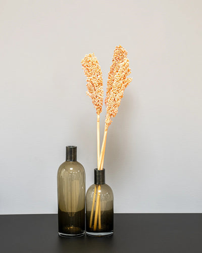 Indian Corn – 5 st, som dekorativ produkt från Forever Flora