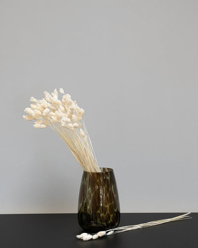 Phalaris som dekorativ produkt från Forever Flora