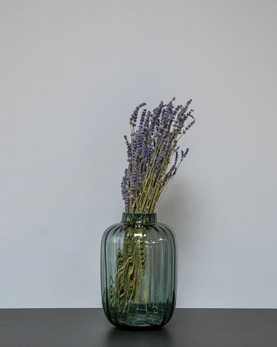 Lavendel Naturell för dekorativ styling i inomhusmiljö