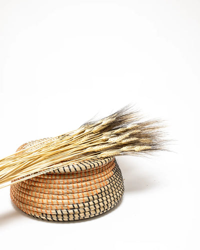 Triticum Vete med botanisk form för vasdekoration – 8487 pr 145 1
