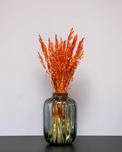 Havre Avena som dekorativ produkt från Forever Flora – 868 havre orange 3