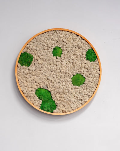 Detaljerad vy av Rund mosstavla med grön bollmossa och lichen med naturlig mossstruktur – Q 40cm