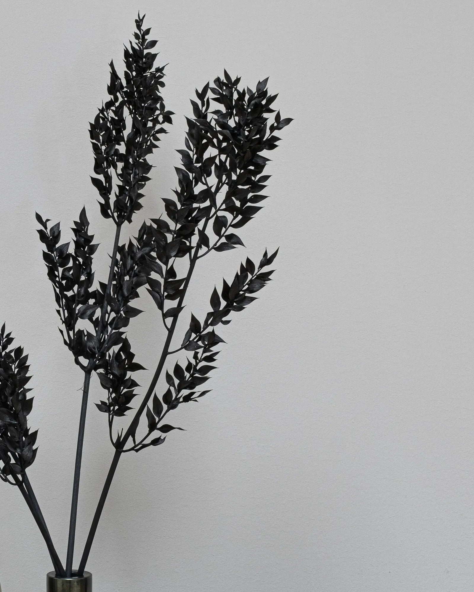 Ruscus 5 st. för dekorativ styling i inomhusmiljö