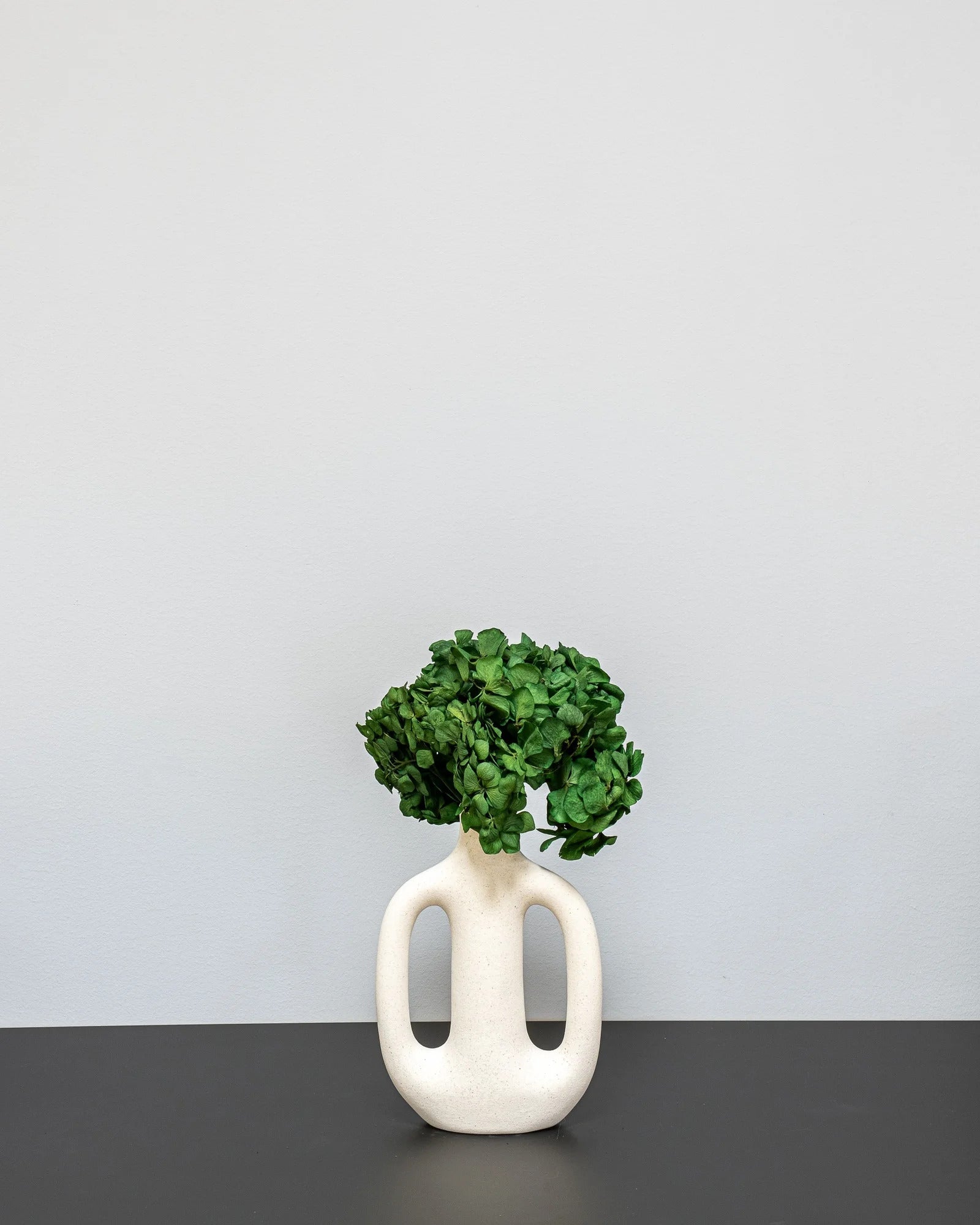 Hortensia Standard – konserverad blomma från Forever Flora i blå