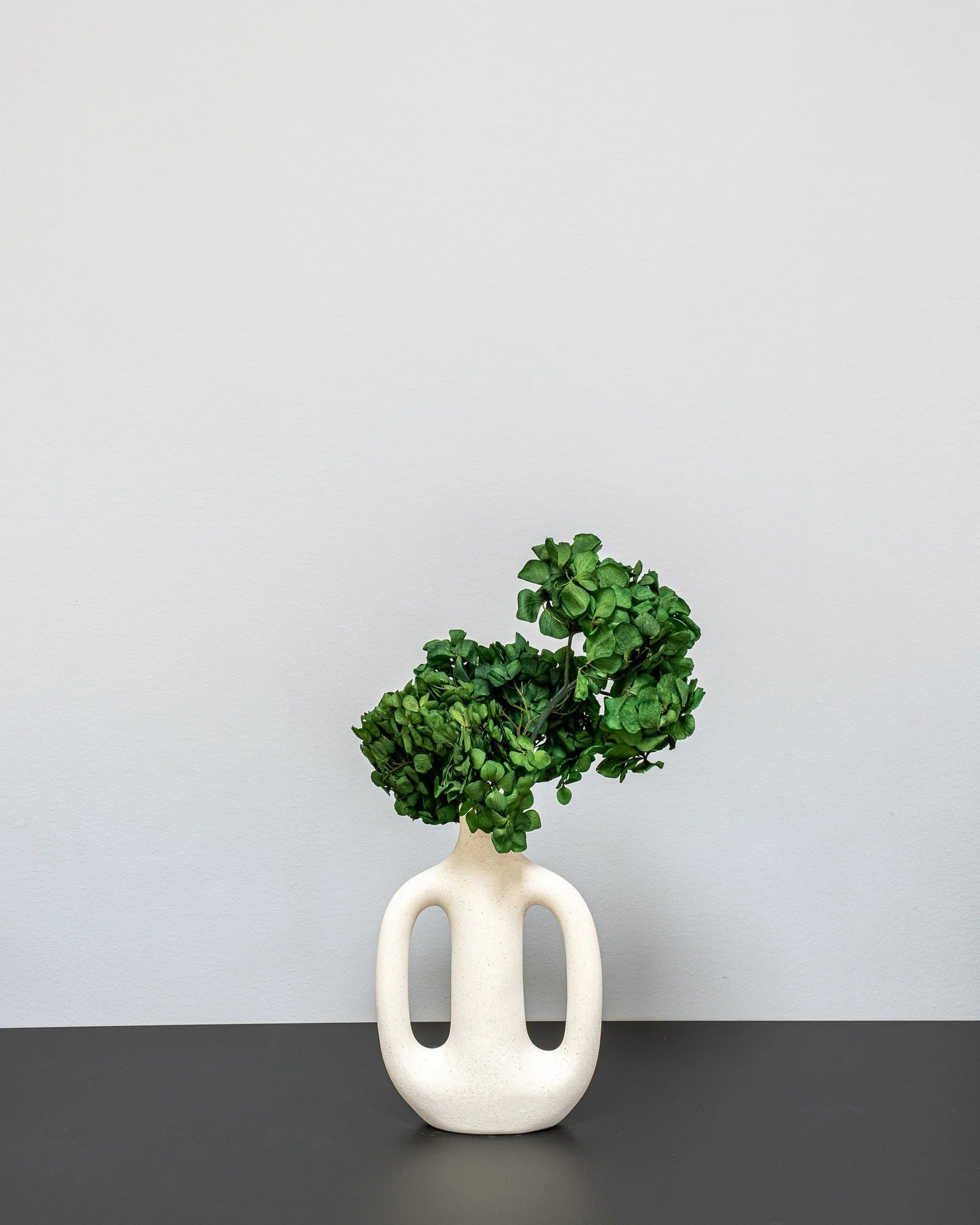 Hortensia Standard för dekorativ styling i inomhusmiljö