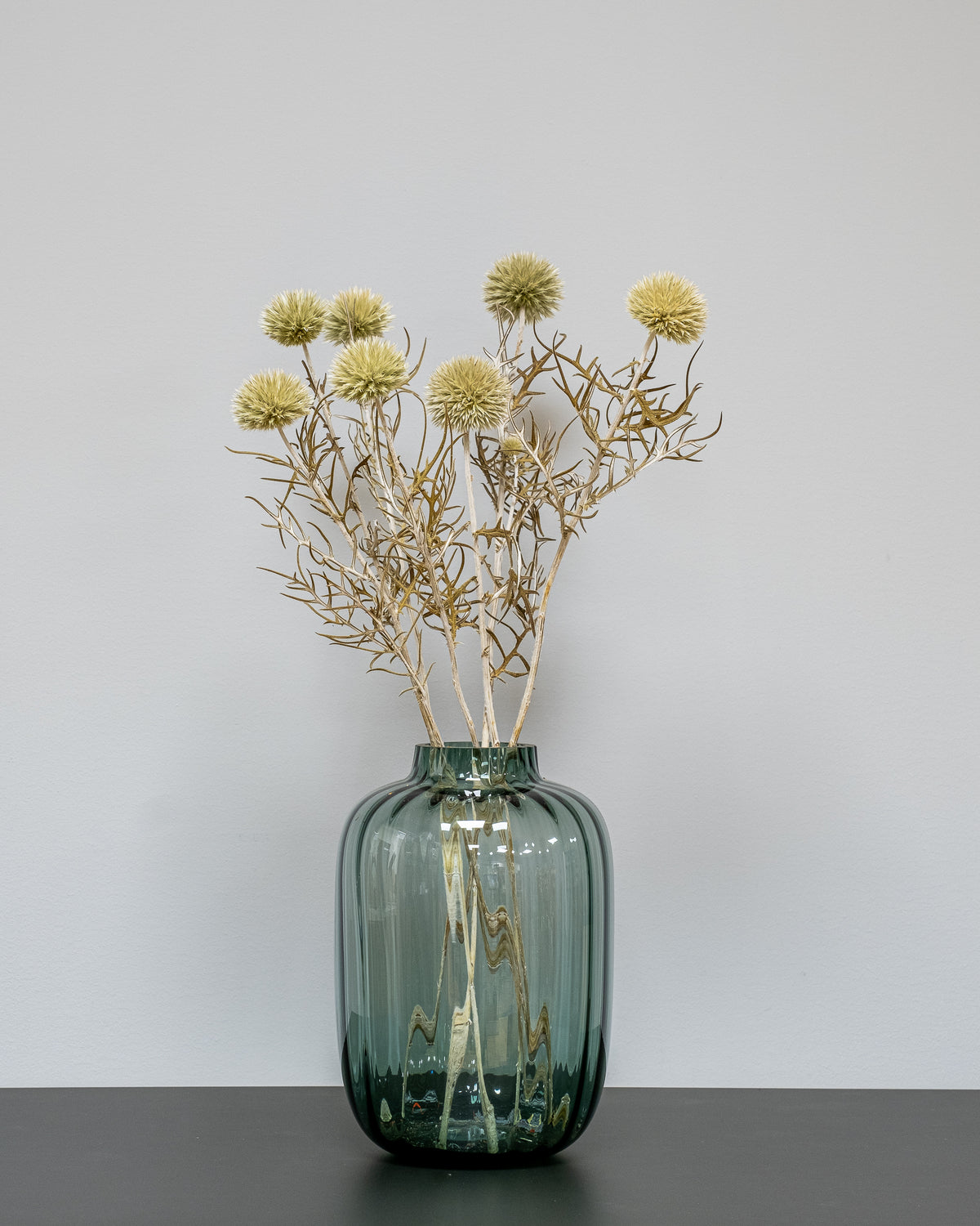 Kugeldistel Gigant – konservierte Blumen