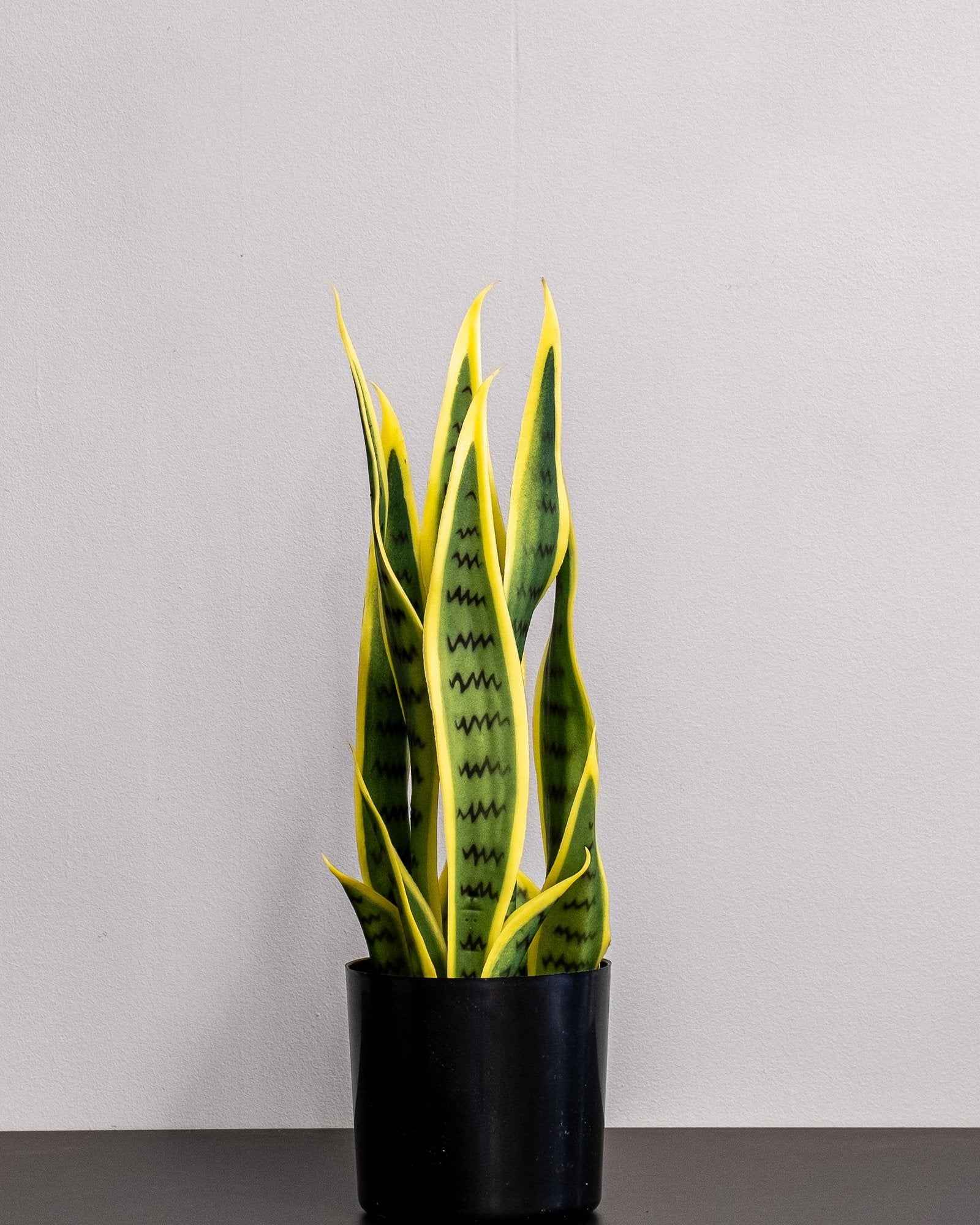 Konstgjord Sansevieria i melaminkruka – 40 cm