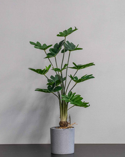 Konstgjord Philodendron krukväxt – 60 cm