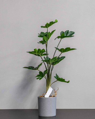 Konstgjord Philodendron krukväxt – 60 cm