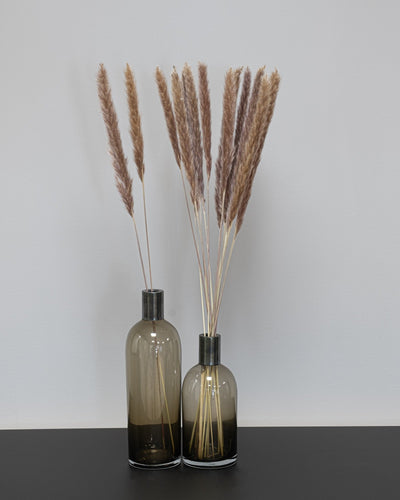 Mini Pampasgräs – 10 st. 70 cm i Vit