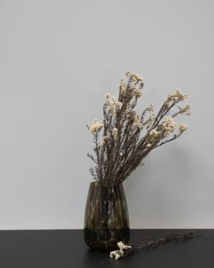 Alternative view of Diosmi Natural - Konservierte Blumen