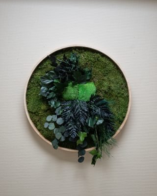 Rundes Moosbild – Regenwald-Pflanzentafel 15 Forever Flora De