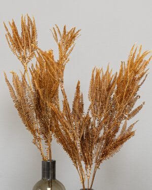 Alternative view of Helecho Farn - Konservierte Blumen