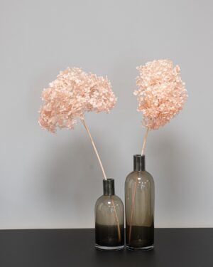 Forever Flora De