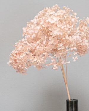 Forever Flora De
